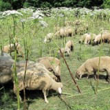 1007G 48 Ruhr Radweg